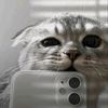 user8845516610951
