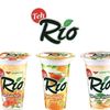 rio.ferdinan489