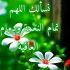 user4430515743258