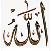 user2446854205461