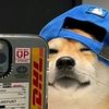 teuamigofixe2