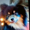 jackie_332214