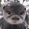 rawr_luvbearz