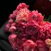 daisy_sine