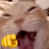 jarr_ireng