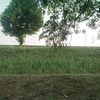 ahmad662678
