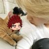 kiwamss