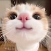 riyouki_tenkay