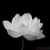 thanh.lm854