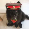 bdpfrefi