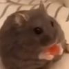 stickycheesballs