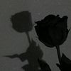 ndy_jaa1