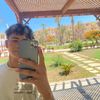 user7753874425917