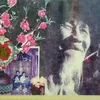 duong.trung22