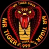 tiger_1_12