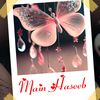 mainhaseeb936