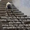 hailuamientay_vinhlong