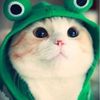 hoangtusquyen_2302