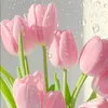 alexinne_finds