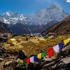 benja1110_gurung