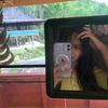_dinda_p