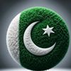 asim.ali.6234
