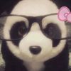แพนด้า🐼