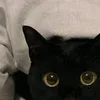 ng.hwugn