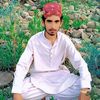 shahwani410