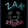 zakstorm849