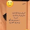 zidi.queen3460