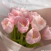 wonderful8196