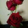sunee.kg