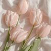 tulipgmail.com0