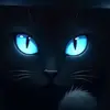 edna.salguero7