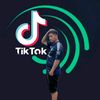 tet.koko