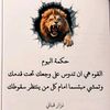 user3487681175935