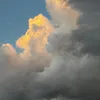 no_m58
