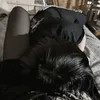 swellixl