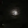 19.axxv
