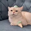 arashkamali64