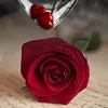 user3195821734639