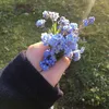 mahha_2000