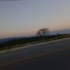 mbarfliz