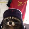 cesarcc371