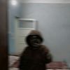 shrouka270