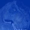 jurassic_diskkaff