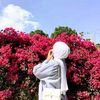 _snaria_