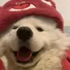cjzzzz_77