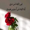 nour02277